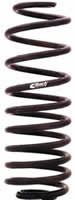 Eibach Springs