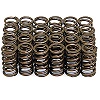 Ferrea Valve Springs