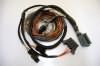Haltech ECU Harness