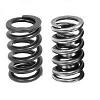 Manley Valve Springs
