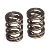 Skunk2 Valve Springs