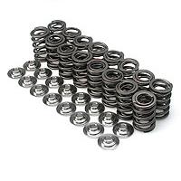 Brian Crower valve springs