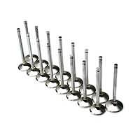 Brian Crower Honda K20A/K20Z VALVES