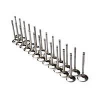 Brian Crower Nissan KA24DE VALVES