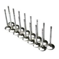 Brian Crower Toyota 2AZFE VALVES