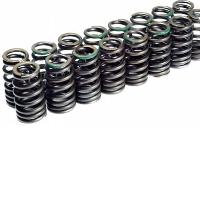 Cosworth valve springs