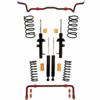 Eibach Pro-System+