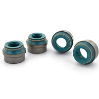 Ferrea Valve Seals