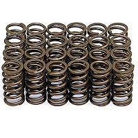 Ferrea Valve Springs