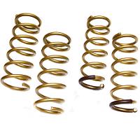 Tein Htech Springs